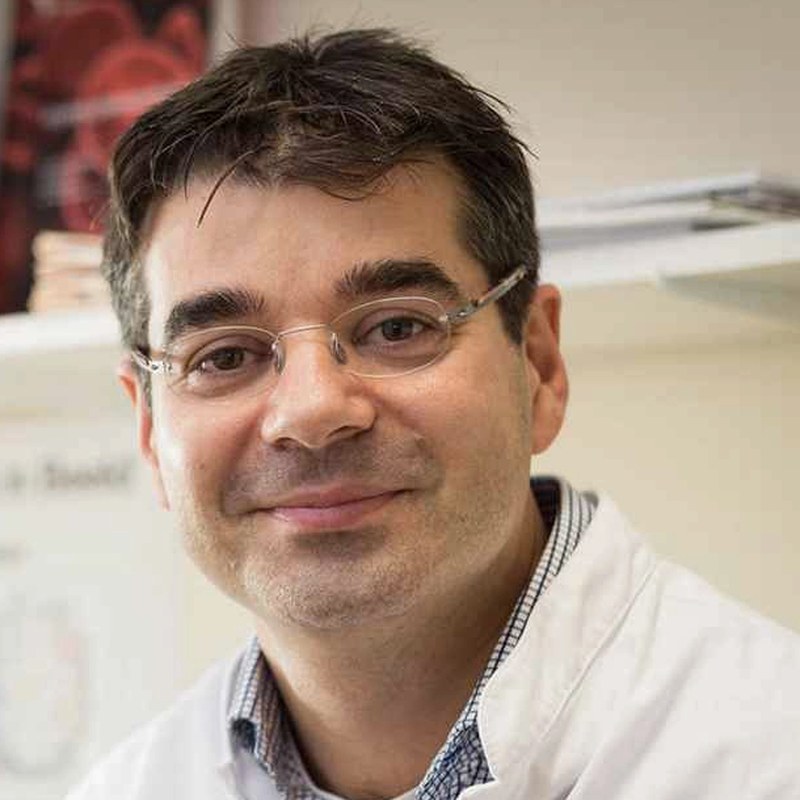 Prof. dr. Arnon Kater, Advisory Board